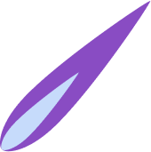 Shooting Star
